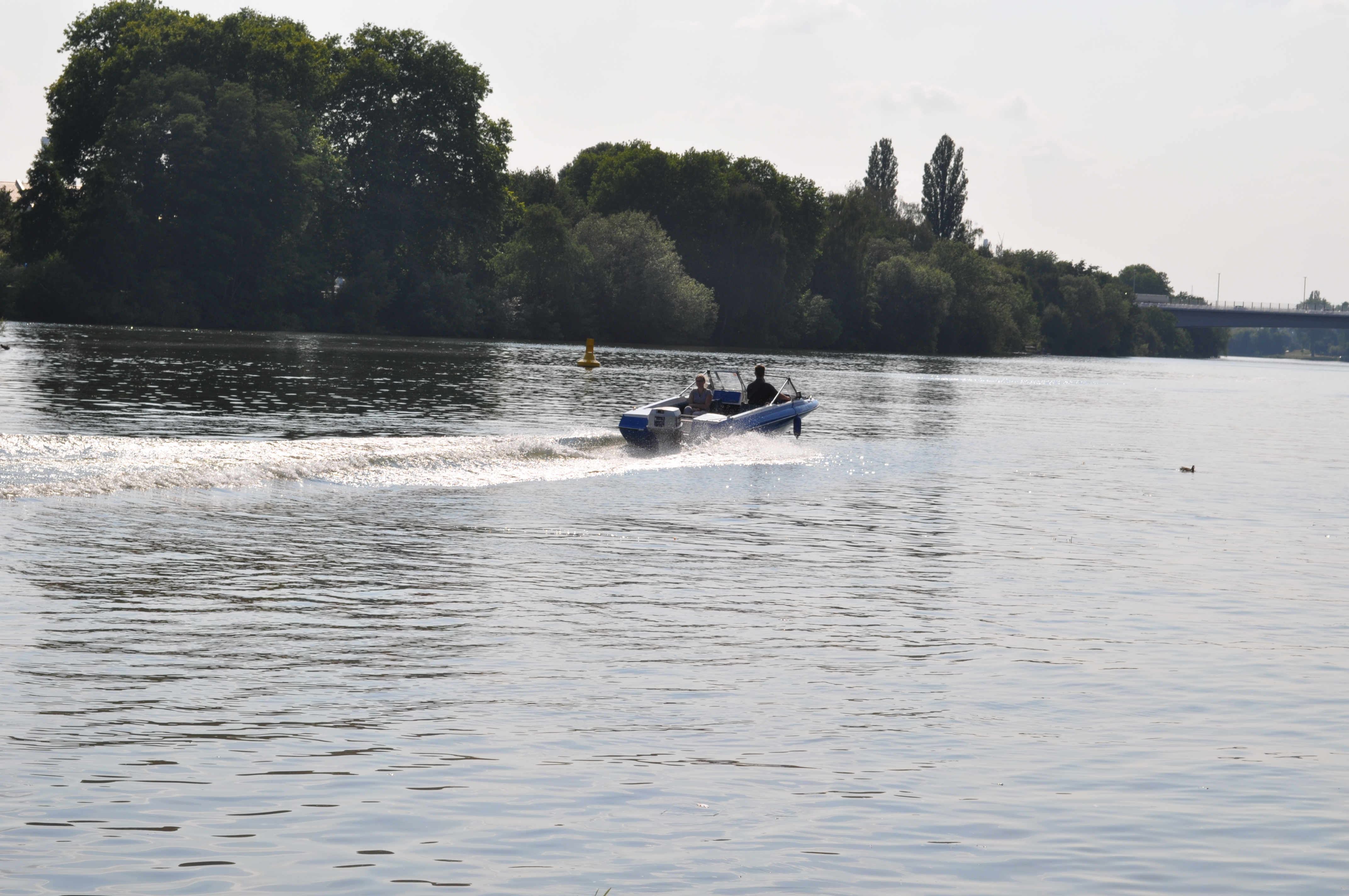 DSC_0005 DSC_0005