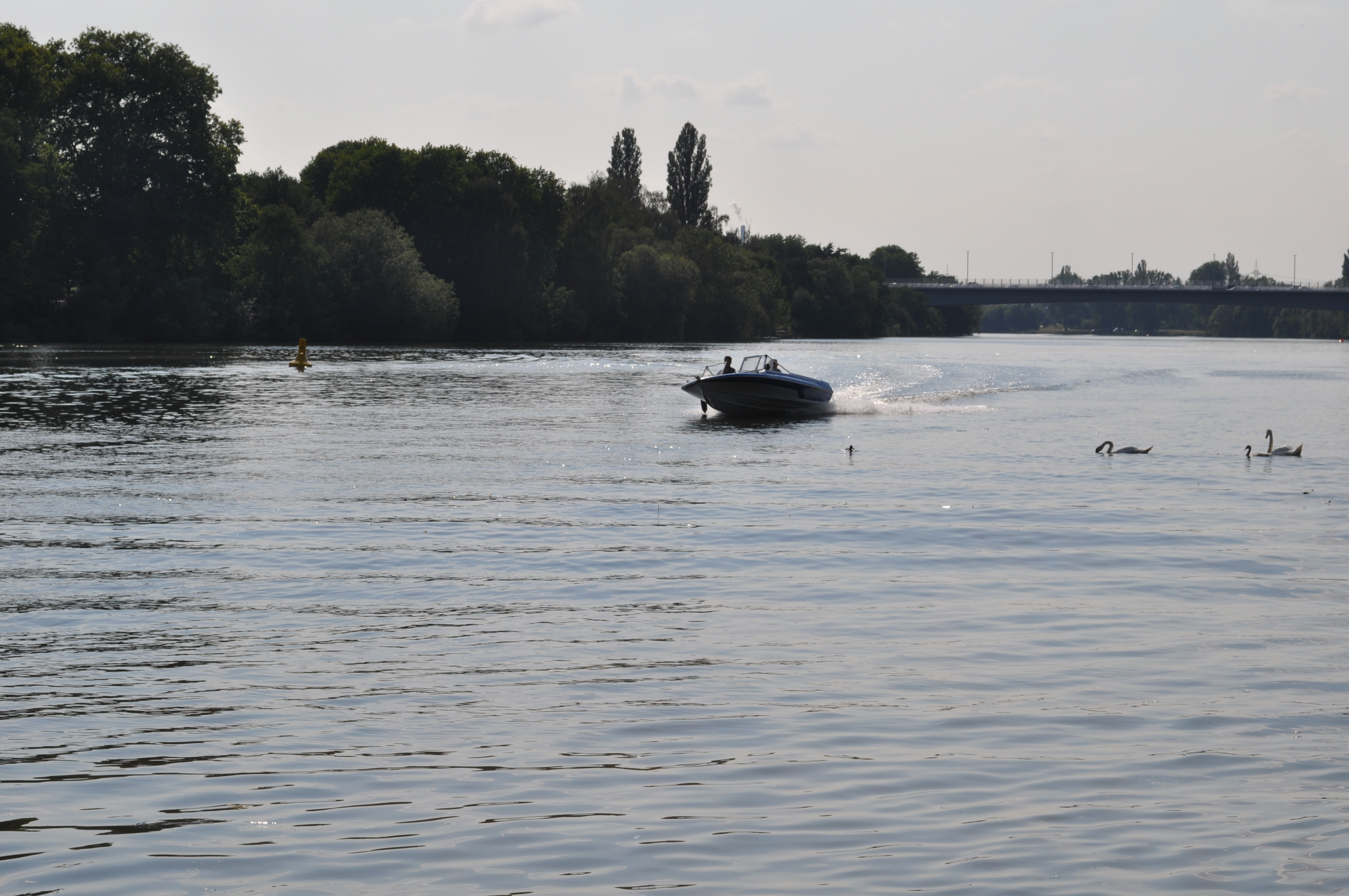 DSC_0006 DSC_0006