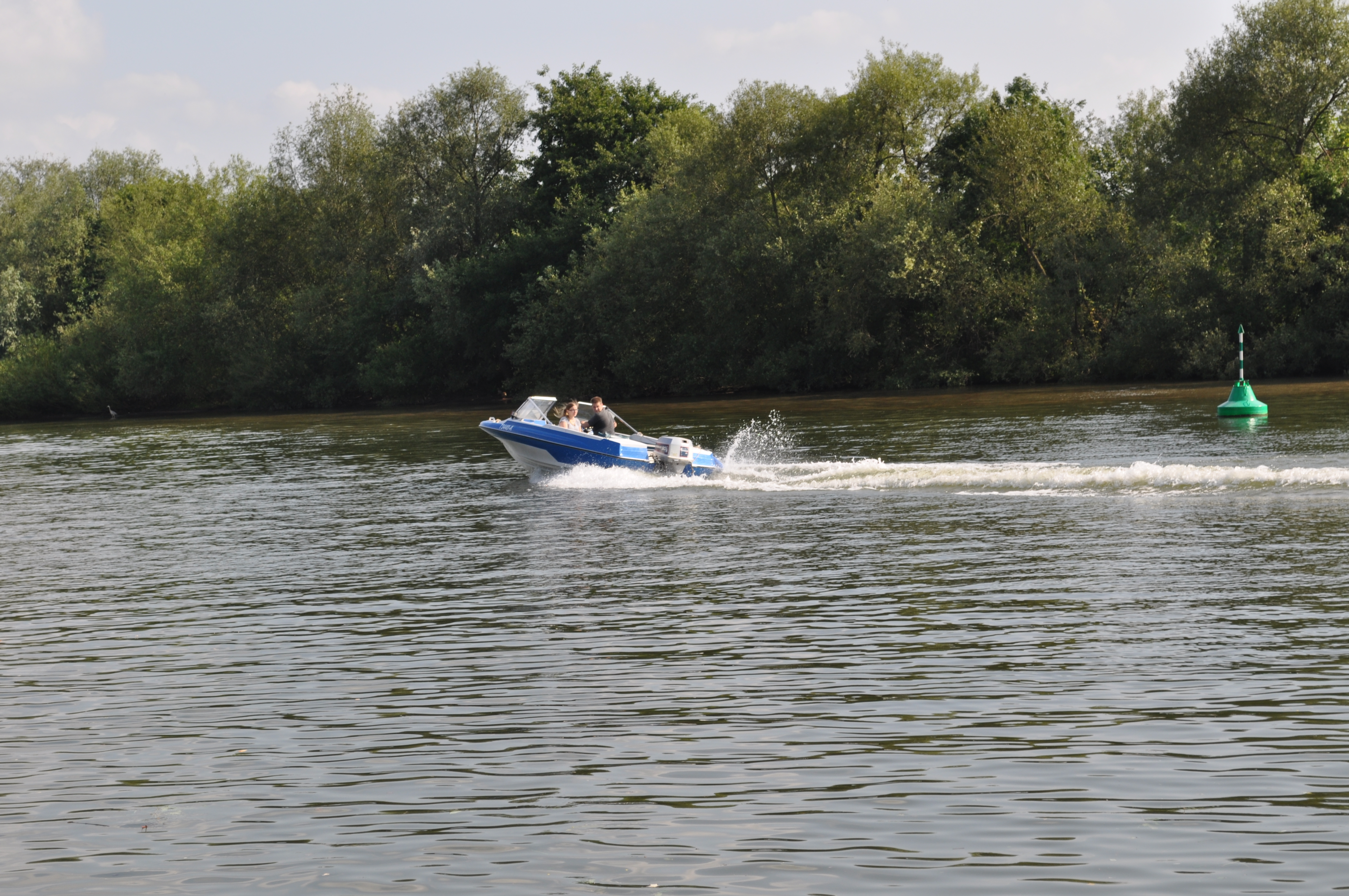 DSC_0008 DSC_0008