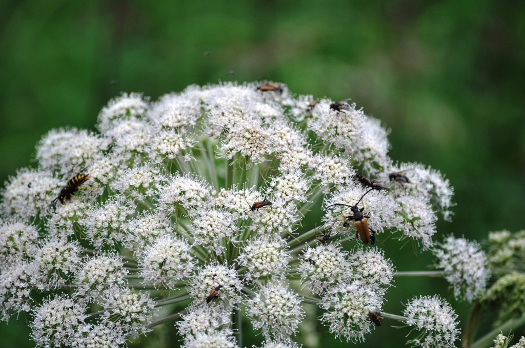 DSC_0049_2 DSC_0049_2