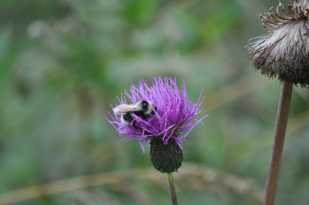 DSC_0053_2 DSC_0053_2