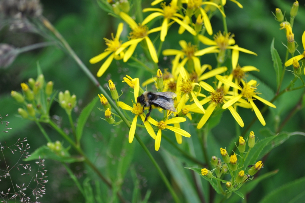 DSC_0056_2 DSC_0056_2
