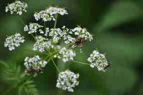 DSC_0016_3 DSC_0016_3